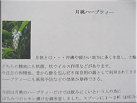 月桃ハーブティー